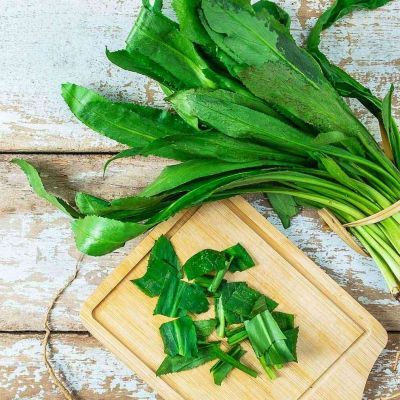 Coriandre Chinoise - Leaderplant