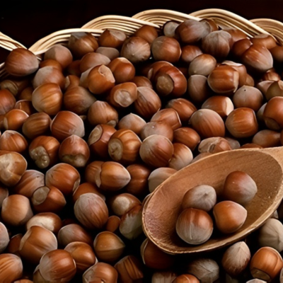 Noisetier Ronde du Piémont  - Leaderplant