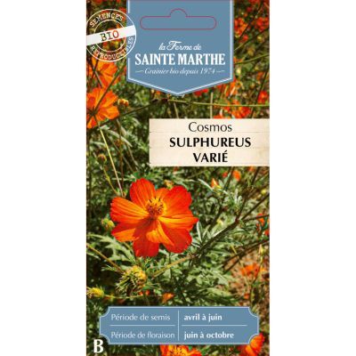 Graines mélange Cosmos Sulphureus (Ferme de Sainte Marthe) - Leaderplant