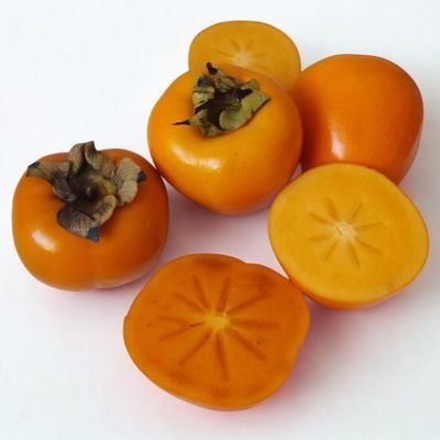 Kaki Plaqueminier Jiro - Leaderplant