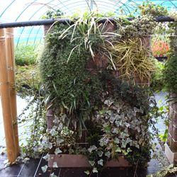 Kit mur végétalisé - Mur duo: vert et blanc - Leaderplant