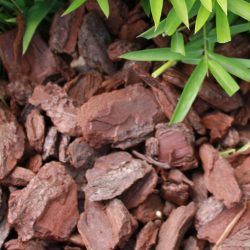 Paillage Écorces de Pin - Leaderplant