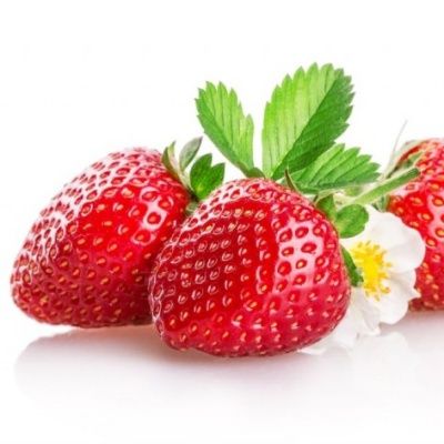 Fraisier Cirafine - Leaderplant