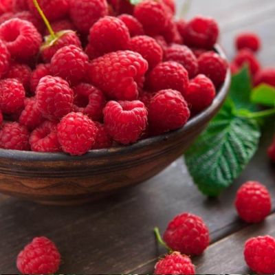 Framboisier remontant Héritage - Leaderplant