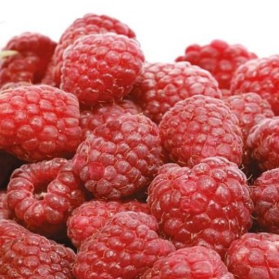 Framboisier Tulameen  (non remontant) - Leaderplant