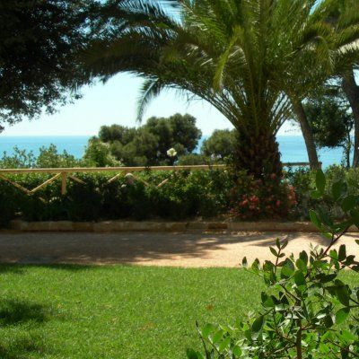 Gazon des Bermudes - Leaderplant