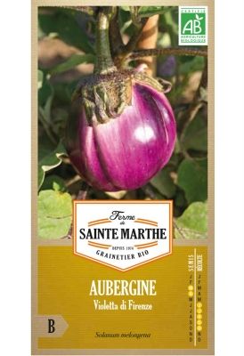 Graines Bio d'Aubergine Violetta di Firenze (Ferme de Sainte Marthe) - Leaderplant