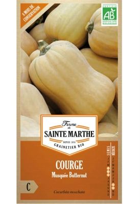 Graines Bio de Courge Musquée Butternut (Ferme de Sainte Marthe) - Leaderplant
