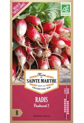 Graines Bio de Radis Flamboyant (Ferme de Sainte Marthe) - Leaderplant