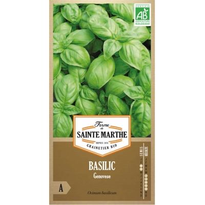 Graines Bio Basilic Genovese (Ferme de Sainte Marthe) - Leaderplant