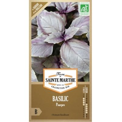 Graines Bio Basilic pourpre (Ferme de Sainte Marthe) - Leaderplant