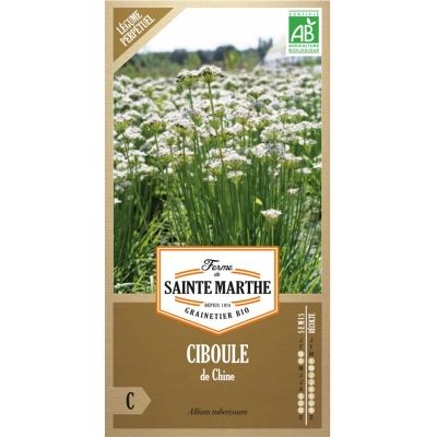 Graines Bio Ciboule de Chine (Ferme de Sainte Marthe) - Leaderplant