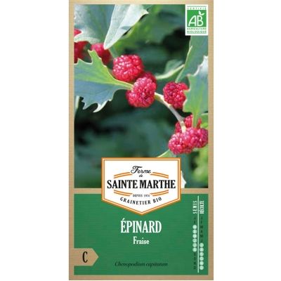 Graines Bio d'Epinard fraise (Ferme de Sainte Marthe) - Leaderplant