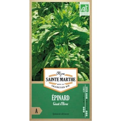 Graines Bio d'Epinard Géant d'hiver (Ferme de Sainte Marthe) - Leaderplant