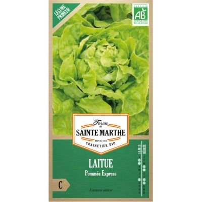 Graines Bio de Laitue Pommée Express (Ferme de Sainte Marthe) - Leaderplant