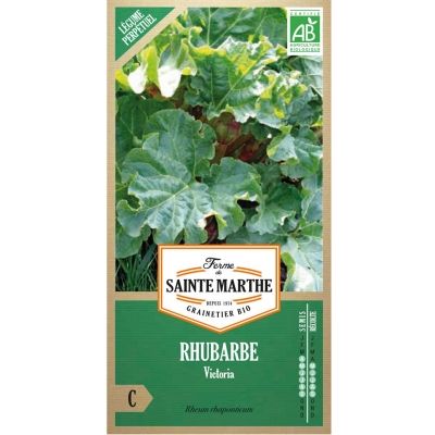 Graines Bio Rhubarbe Victoria (Ferme de Sainte Marthe) - Leaderplant