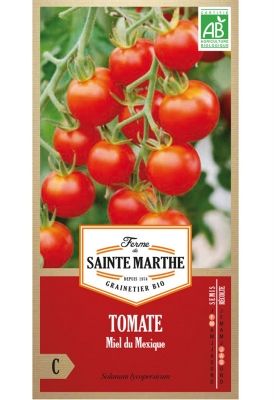 Graines Bio de Tomate Miel du Mexique (Ferme de Sainte Marthe) - Leaderplant