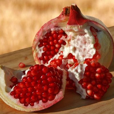 Grenadier à Fruits Fina Tendral - Leaderplant