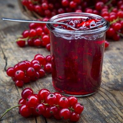 Groseiller rouge Jonkheer van Tets - Leaderplant