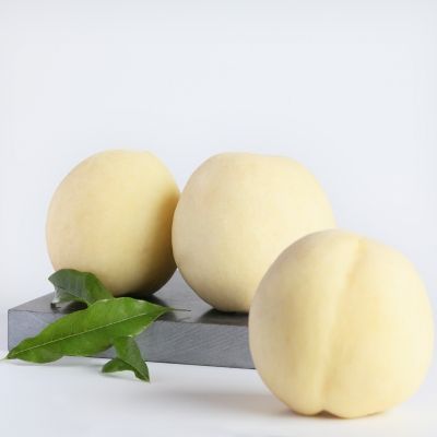 Pêcher nain Ice Peach Gelo ® Fruit Me ® - Leaderplant