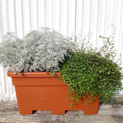 Jardinière 70L/ Bac Haie Brise-Vue Balcon - Leaderplant
