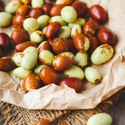 Jujubier Meimizao - Jujube - Dattier chinois - Leaderplant