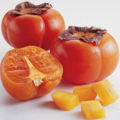 Kaki Rojo Brillante - Leaderplant