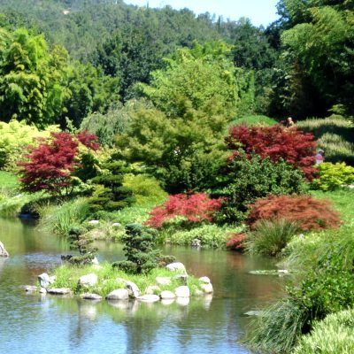 KIT Jardin Zen - Vente en ligne de plants de KIT Jardin Zen pas cher