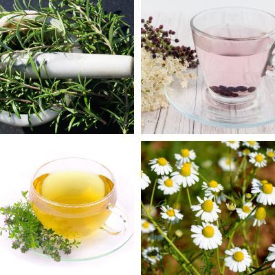 Kit de tisane prêt à planter 'Détox' - Leaderplant