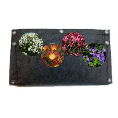 KIT Vertical Garden Ensoleillé - Leaderplant