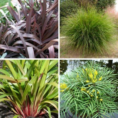 KIT Vertical Garden Graphique - Leaderplant