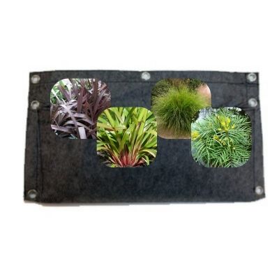 KIT Vertical Garden Graphique - Leaderplant