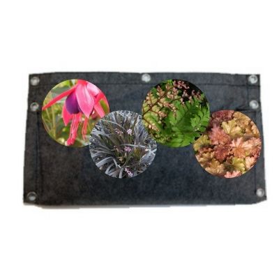 KIT Vertical Garden Ombragé - Leaderplant