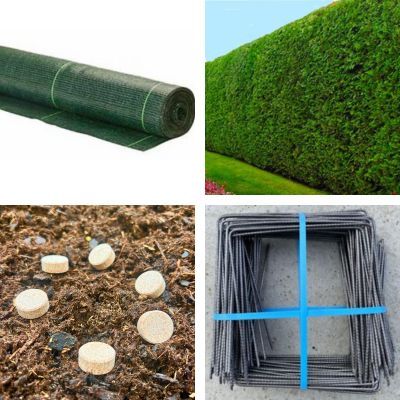 Kit de Plantation Haie de Cypres (20m) - Leaderplant