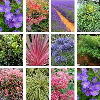 KIT Jardin en Pot pour Balcon - Leaderplant