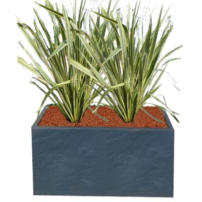 KIT Haie Brise-vue Balcon Phormium - Leaderplant