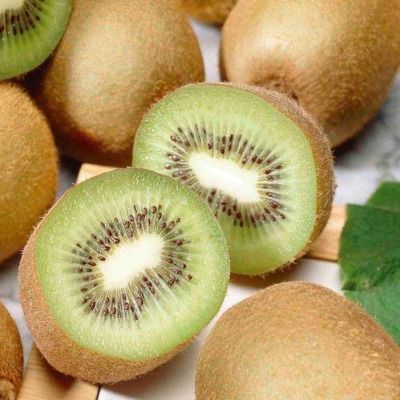 Kiwi autofertile Jenny ® - Leaderplant