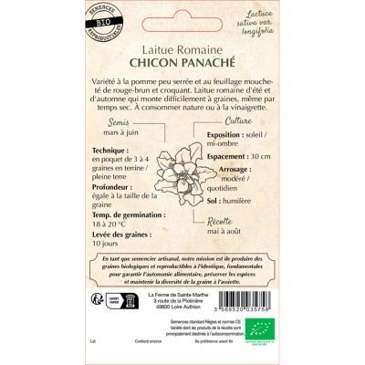 Graines de Laitue romaine chicon panaché (Ferme de sainte Marthe) - Leaderplant