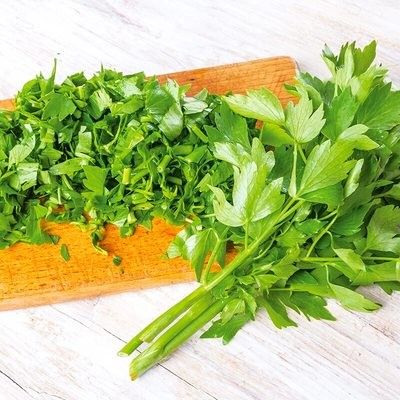 Céléri perpetuel / Livèche / Ache des Montagnes - Leaderplant