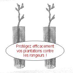Filet de protection anti-rongeurs - Leaderplant