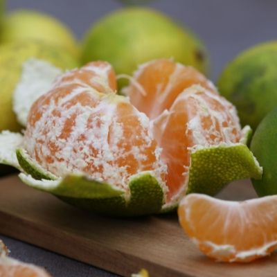 Mandarine Satsuma rustique - Leaderplant