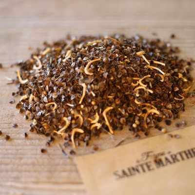 Graine MELANGE FLEURI - AUXILIAIRES ET POLLINISATEURS (Ferme de Sainte Marthe) - Leaderplant