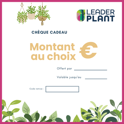 Pépi Chèque-cadeau pour fête des pères - Leaderplant