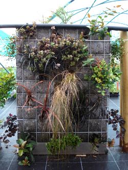 Kit mur végétalisé - Mur trio: marron, rouge et vert - Leaderplant