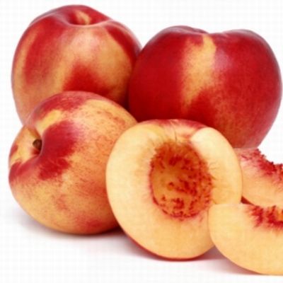 Nectarinier Mme Blanchet - Leaderplant