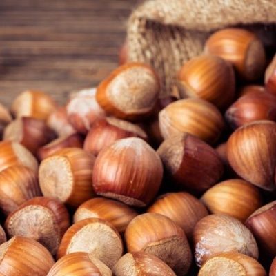 Noisetier Tidling Zeller - Leaderplant