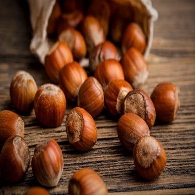 noisette ronde Pawetet - Leaderplant