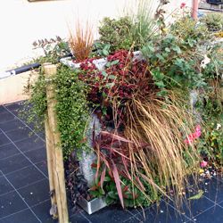 Kit mur végétalisé - Mur trio: marron, rouge et vert - Leaderplant