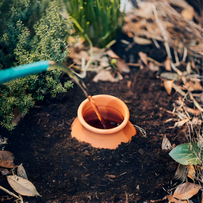 Olla d’irrigation en terre cuite / Poterie Jamet  - Leaderplant