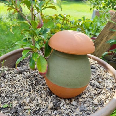 Olla à pic verte - 0,5 L / Poterie Jamet  - Leaderplant